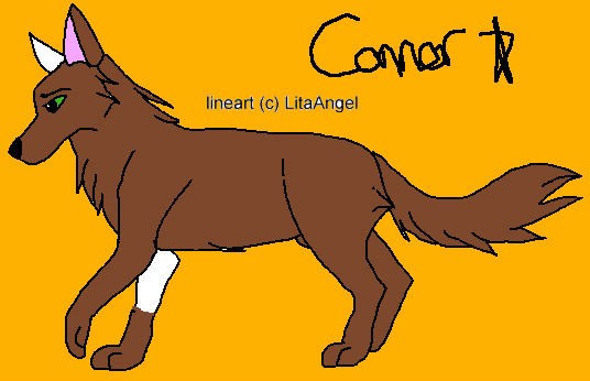 Connor