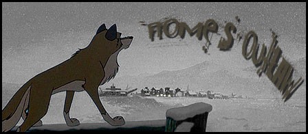 Nome's Outlaw