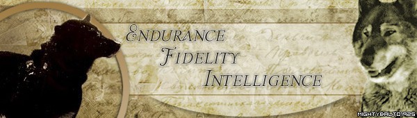 Endurance . Fidelity . Intelligence