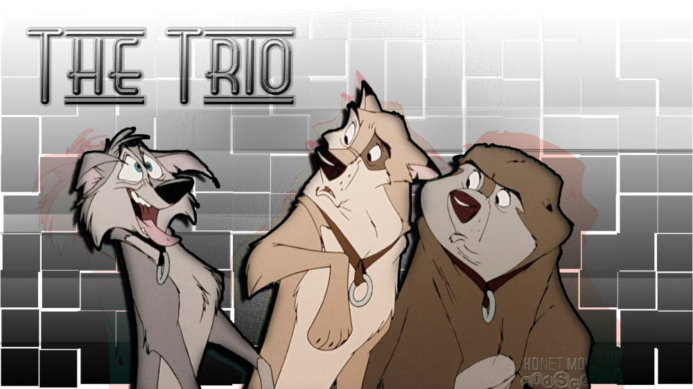 The Trio