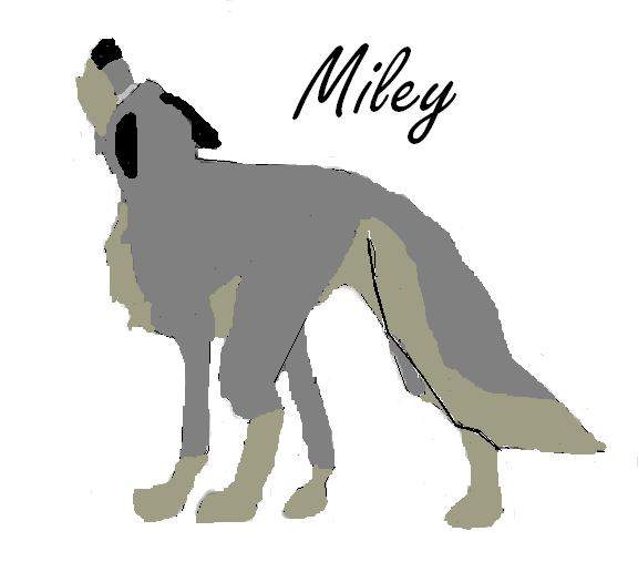 Balto