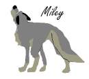 Balto