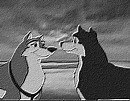 Kodiak et Dusty