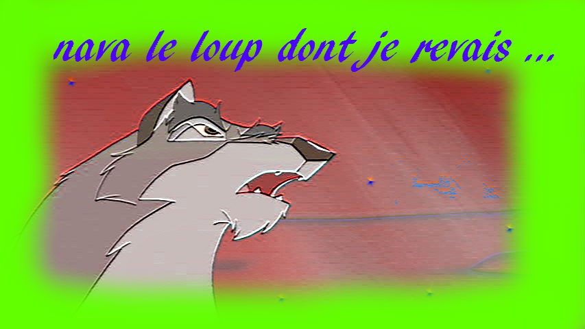 nava , le loup dont je revais ...