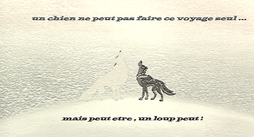 un chien ne peut pas faire ce voyage seul...