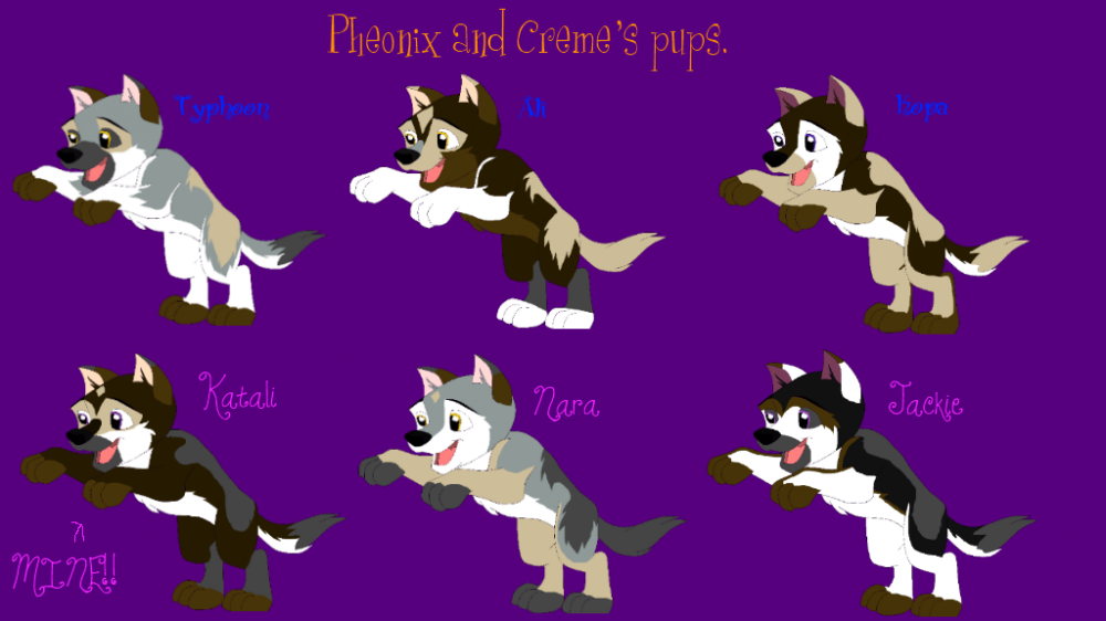 Pheonix and Creme's puppies!!