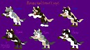 Pheonix and Creme's puppies!!