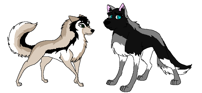 Adoptables (READ!!)
