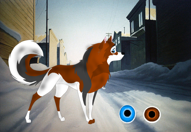 Request for Alex: Design for husky ^^