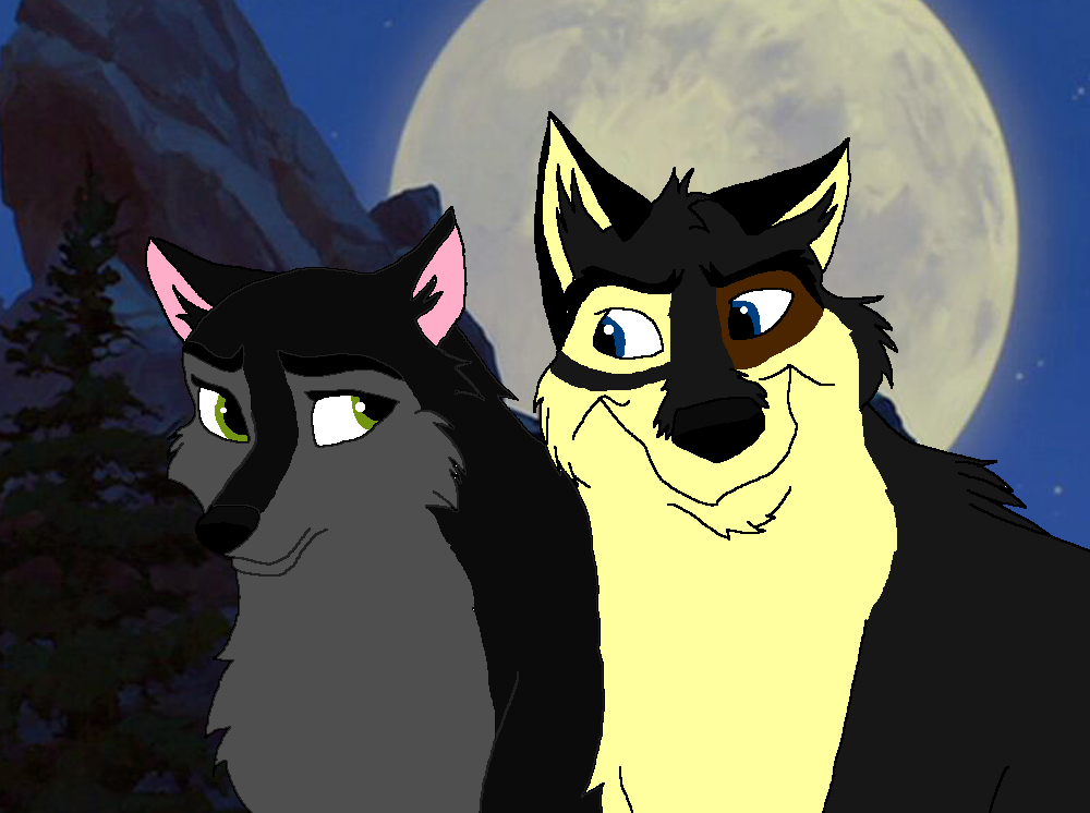 Losa and Stone