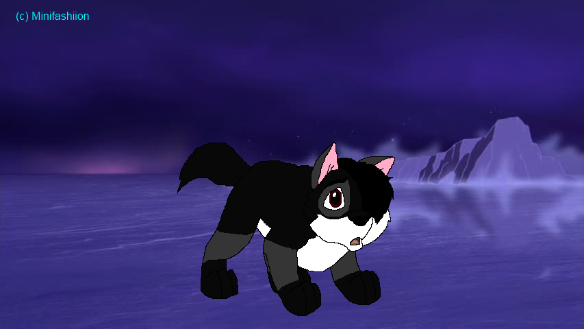 Jaden as a puppy