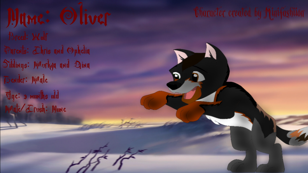 Chris x Ophelia pup: Oliver