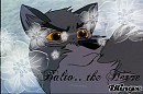 balto blingee