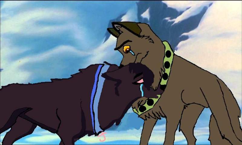 Balto`s brother Collin and Jenna`s sister Jena