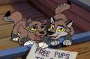 me as a wolf and my brother