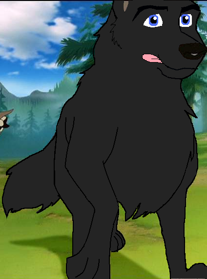 blackie is following his sister starest to find a 