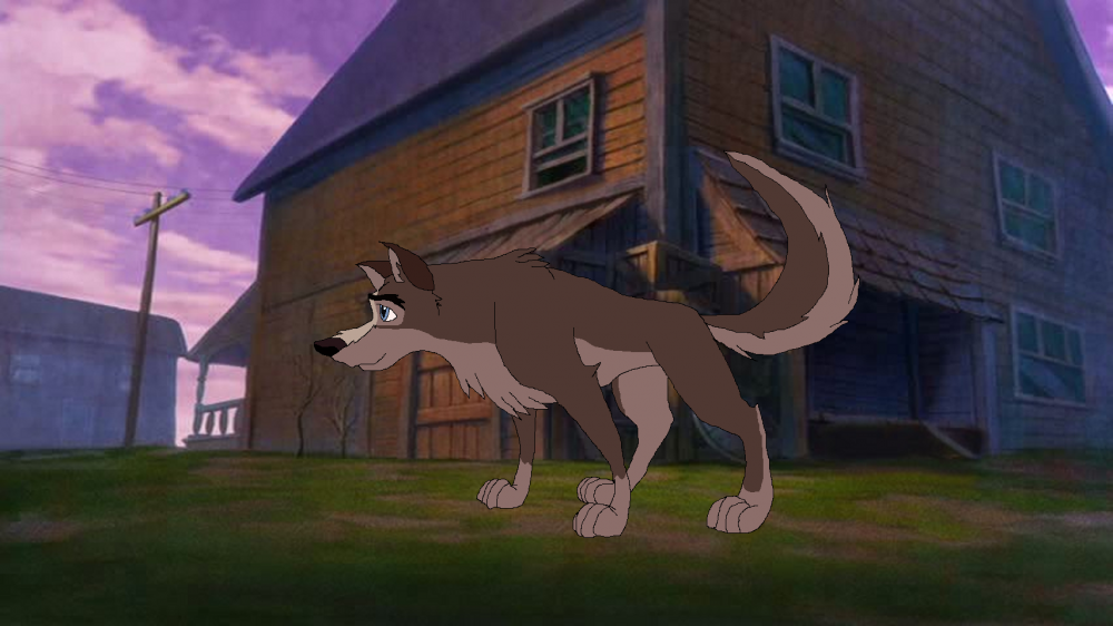 Balto Jr on his walk