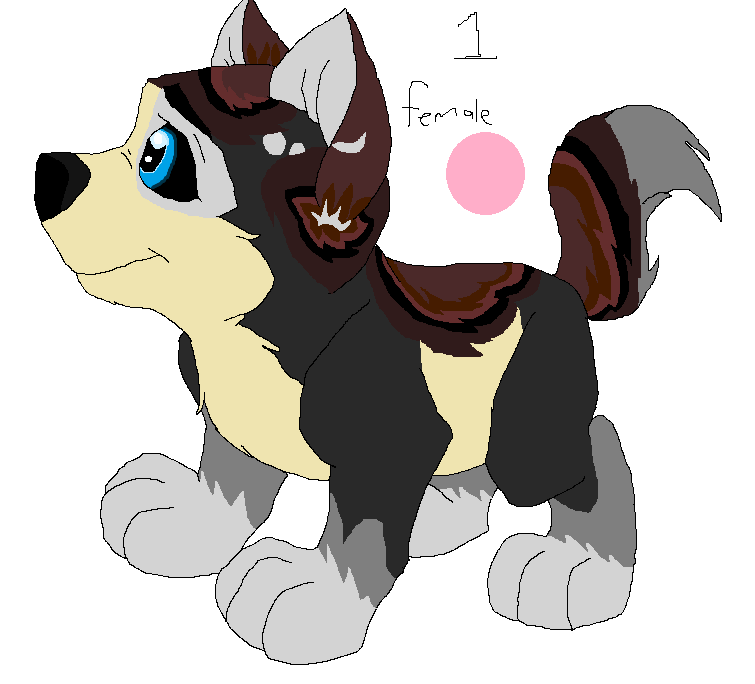Adoptable*Taken*