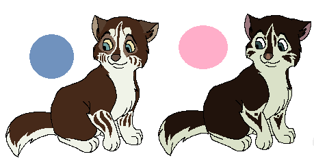 Twins Adopts
