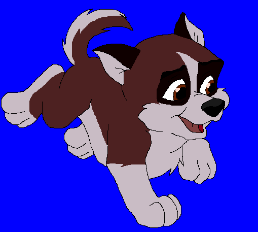 Pup Andrea