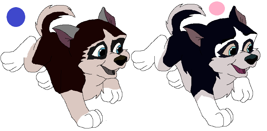 Steele and Janeenah Pups for Adopts