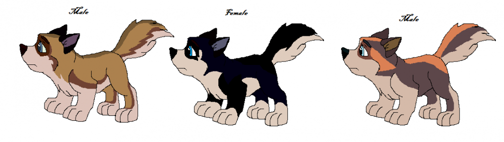 Adopts
