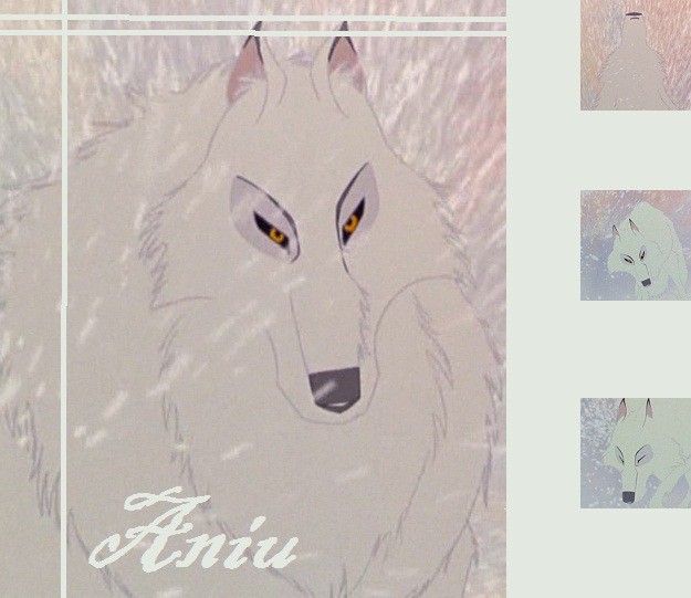 Aniu