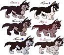 Aleun and Nijeun's siblings