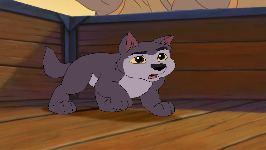 Puppy Ralph