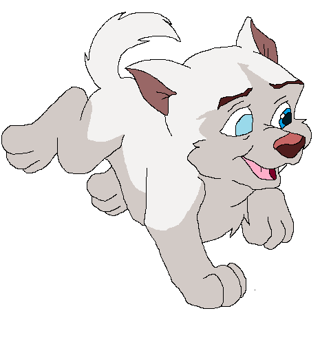 Blind pup Adopt