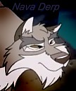 Nava Derp