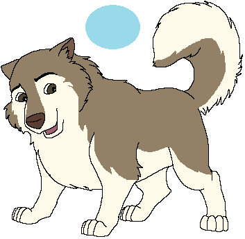 Malamute Adopt*Taken*