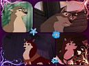 a Collage