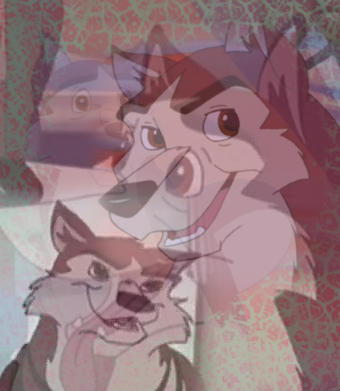 Kodi Collage