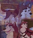 Kodi Collage 2