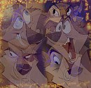 Kaltag and star Collage
