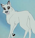 white wolf