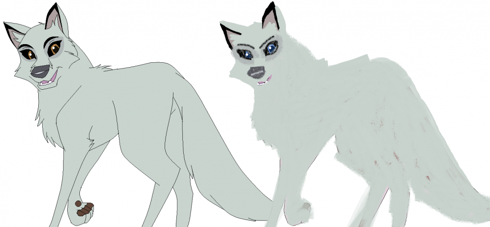 Which looks Better