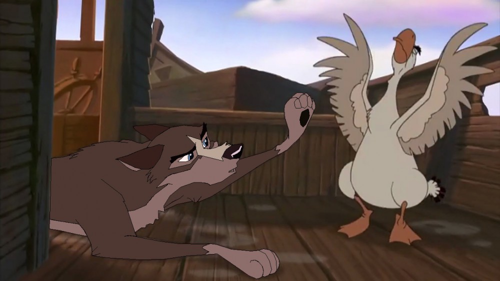 Balto jr as an adult 1