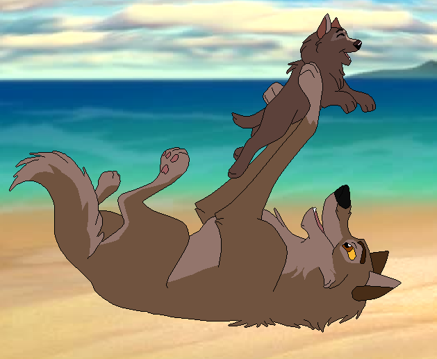 Jane can fly