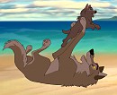 Jane can fly