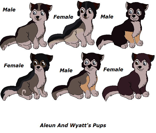Aleun and Wyatt's Pups designs