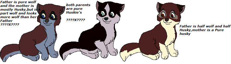 Adoptables 1