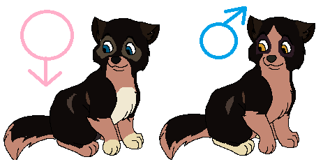 Amarok and Nijuen pups designs