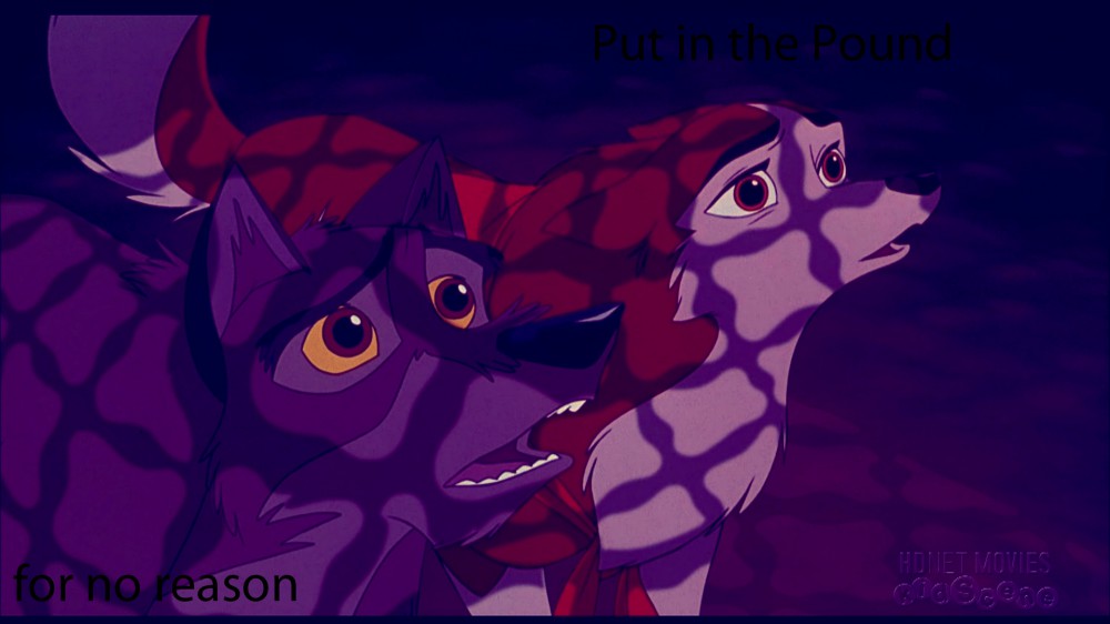 put in the pound