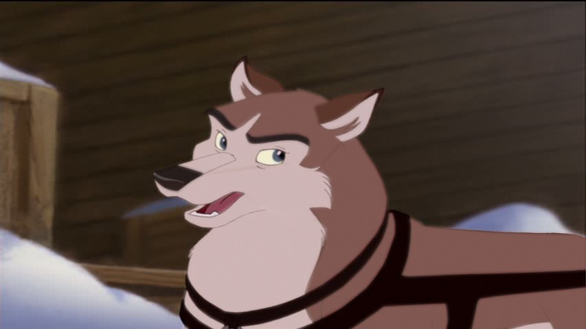 Aleu the sled Dog