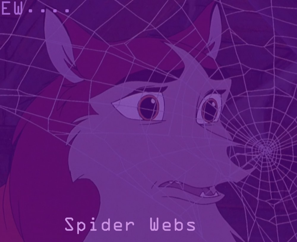Ew... Spider Webs