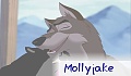 mollyjake