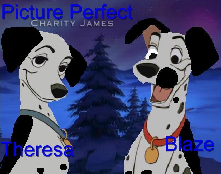 Picture Perfect