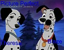 Picture Perfect